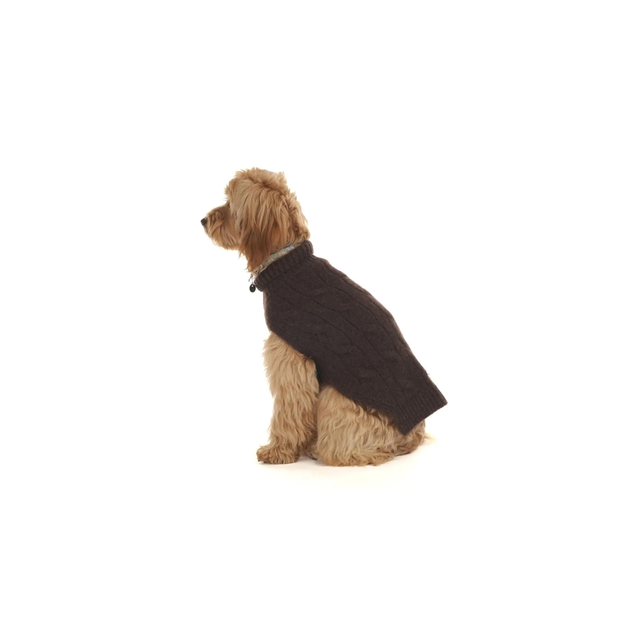 Cable Cashmere Dog Pullover