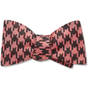 Canisateo - bow ties