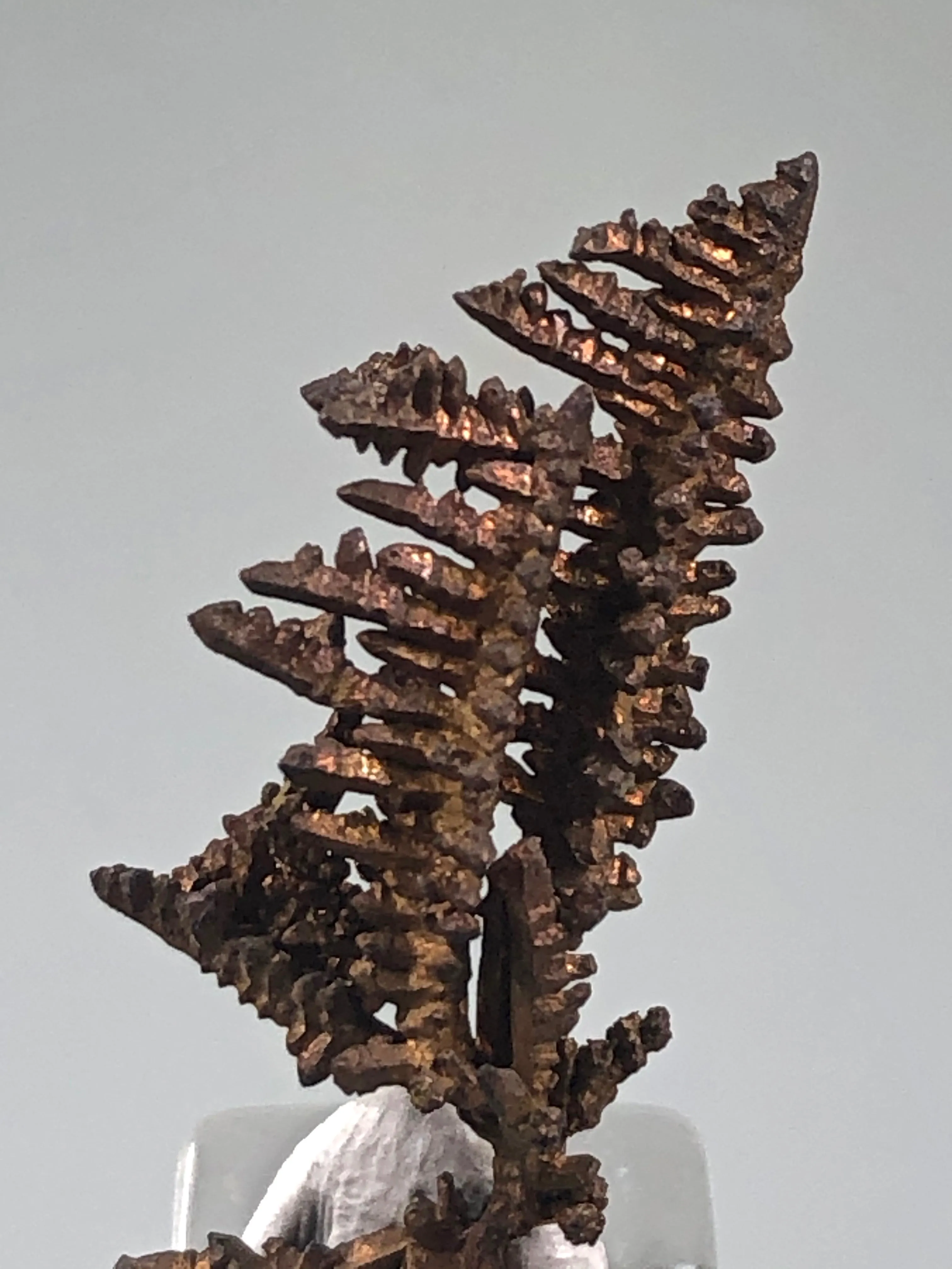 Copper, Champion Mine, Lake Superior Copper District, Houghton County, Michigan, ex. Louis Lafayette Collection, Thumbnail 0.5 x 1.0 x 3.0 cm, $35. Online 12/17