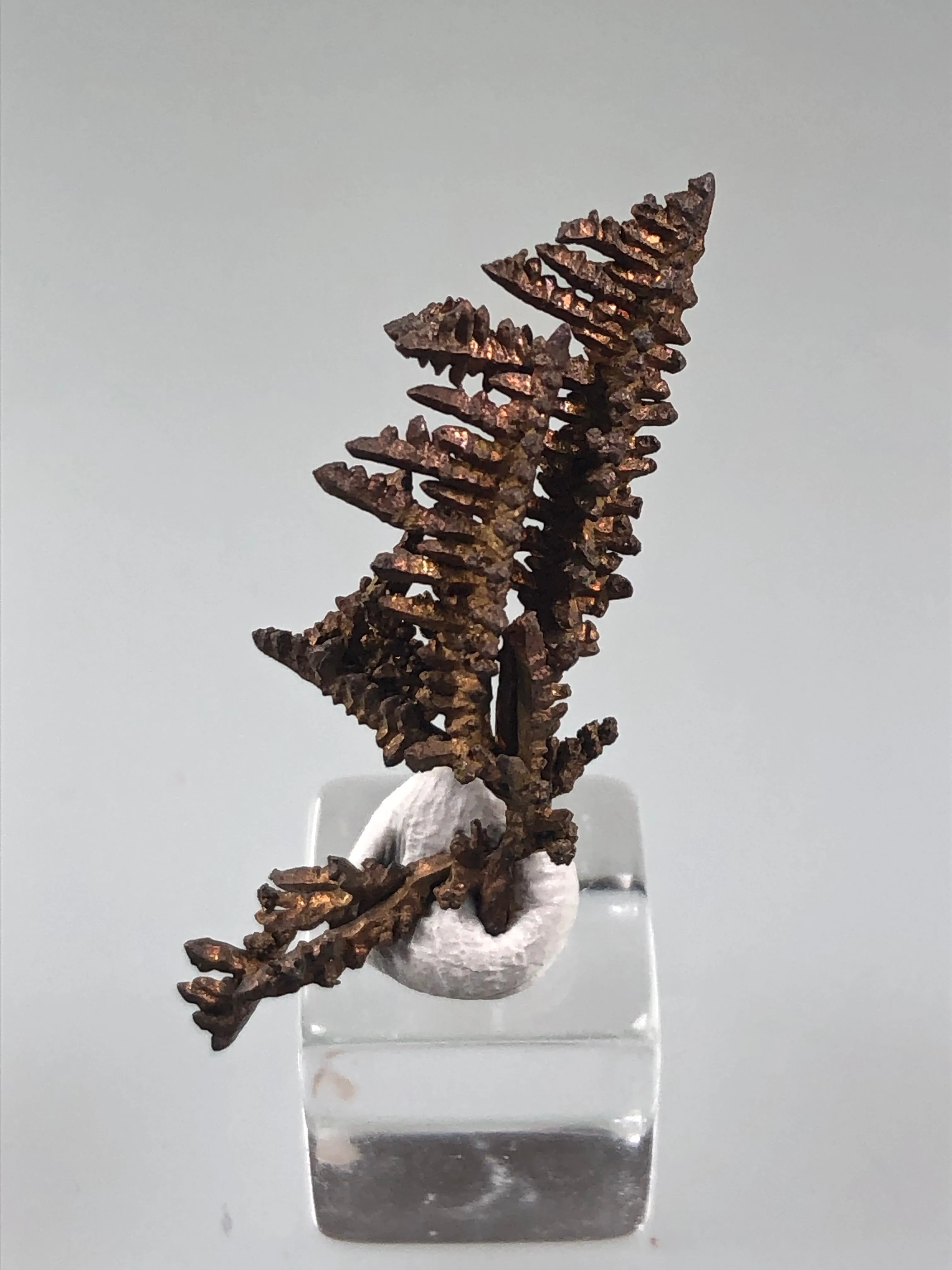 Copper, Champion Mine, Lake Superior Copper District, Houghton County, Michigan, ex. Louis Lafayette Collection, Thumbnail 0.5 x 1.0 x 3.0 cm, $35. Online 12/17