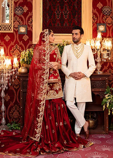 Designer Wedding Red Sharara Dress for Bride #WN102