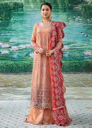 Elegant Pakistani Sharara Dress in Peach Color #PF122