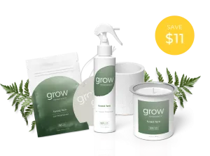 Forest Fern Bundle
