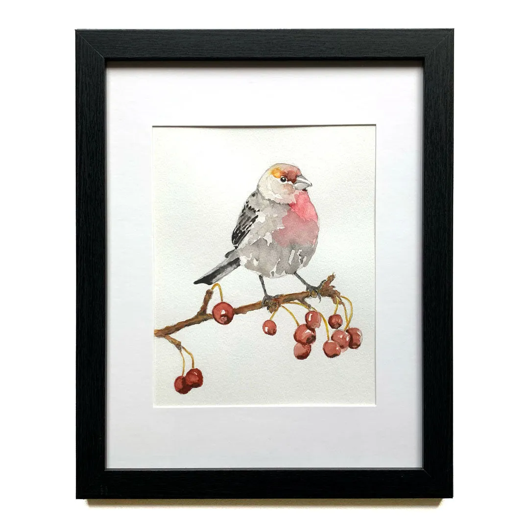 "House Finch" Bird Watercolor Painting 8x10
