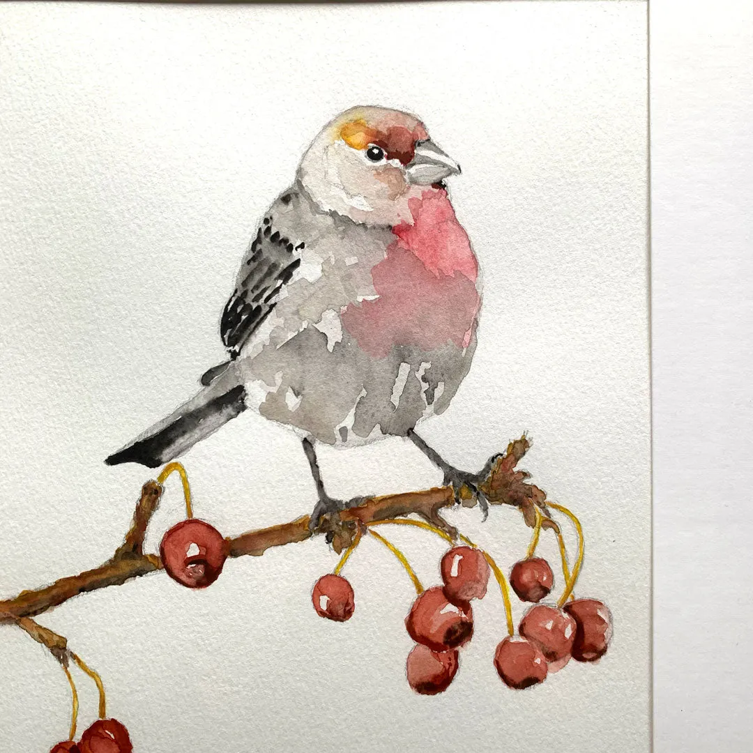 "House Finch" Bird Watercolor Painting 8x10