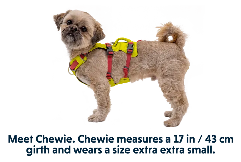 Ruffwear Flagline Harness