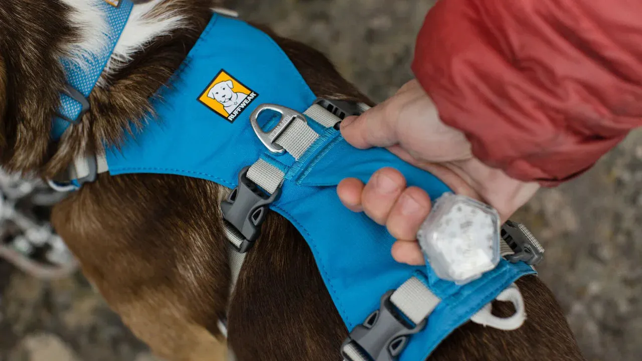 Ruffwear Flagline Harness