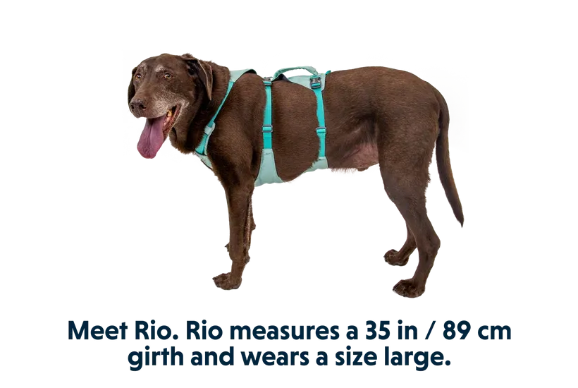 Ruffwear Flagline Harness
