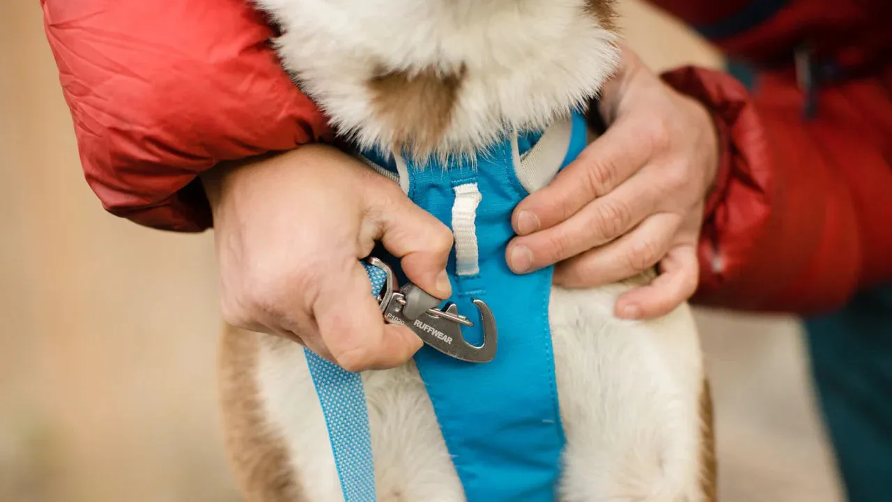 Ruffwear Flagline Harness