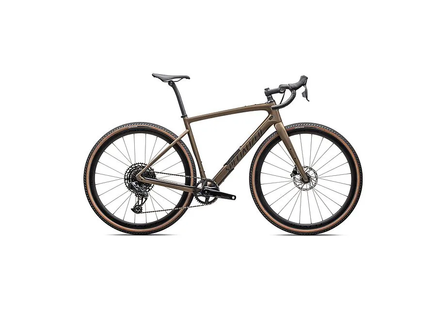 Specialized Diverge Expert Carbon