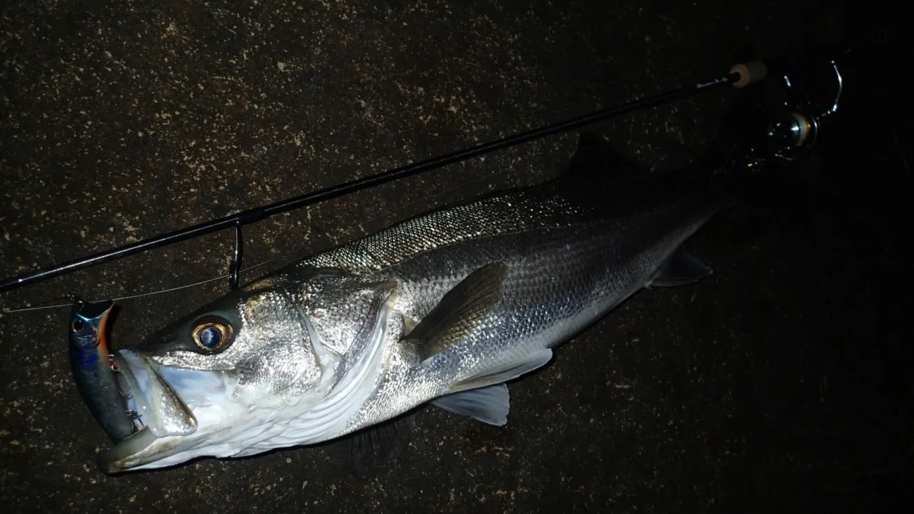 TRUTH JAPAN Spinning Rod Permission 89SM